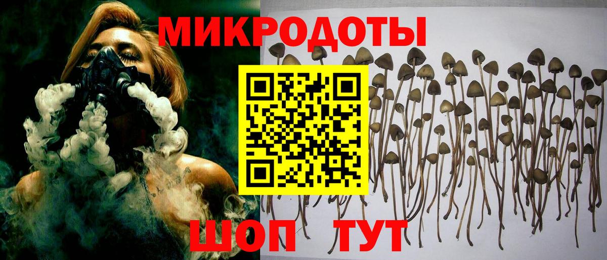 Псилоцибиновые грибы мицелий  Псилоцибиновые грибы мицелий  Вход с VPN  Бердск 