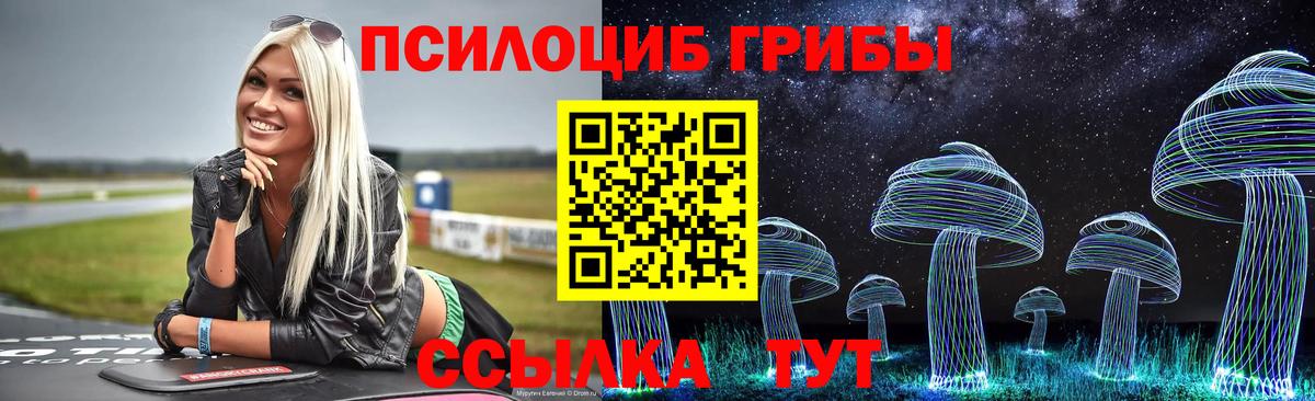 Псилоцибиновые грибы мицелий Бердск